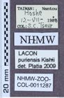 Etikett zu Lacon puriensis (Kishii, 1991)